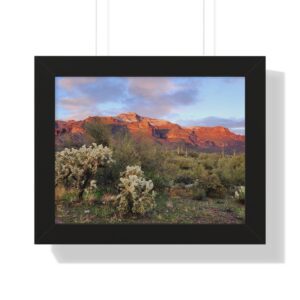 Framed landscape print showing sunlit cactus valley