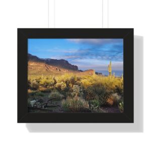 Framed desert sunset with saguaro silhouettes