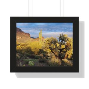 Golden hour cactus grove with blue sky