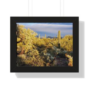 Desert landscape with cacti in sunlight.
