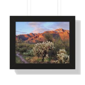 Golden light on rocky desert ridgeline
