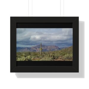 Cacti foreground before purple mountain ridges