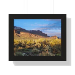 Golden light on cactus and mountains