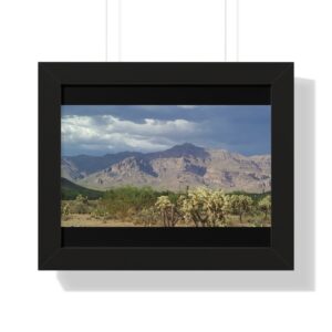 Black framed desert with cholla and cloudy peaks