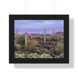 Saguaro cacti and purple mountains at dusk