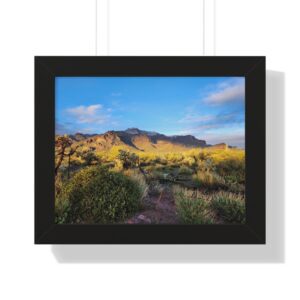 Mountain landscape with grassy foreground, blue sky.