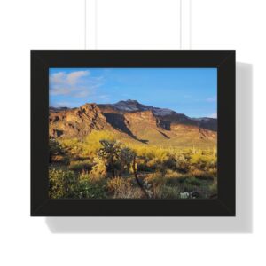 Sunlit desert foreground with cholla and mountains